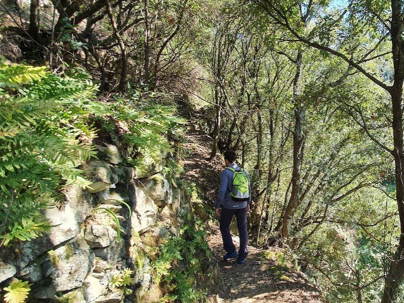 Anello sentieri alti Monterosso