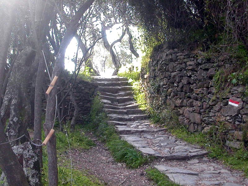 Corniglia Vernazza Trail