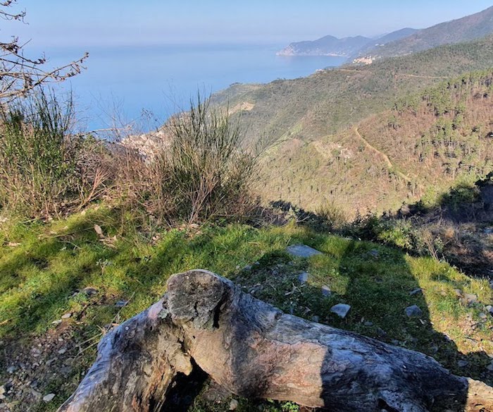 Sui sentieri alti di Riomaggiore tra natura e antiche vie di pellegrinaggio