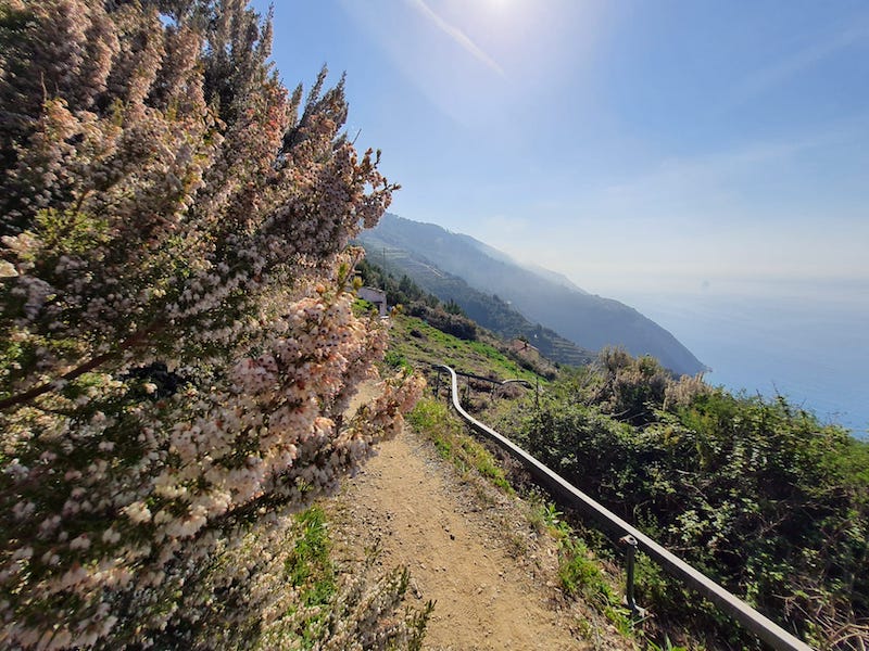 Colle del Telegrafo ring-route trekking: the connecting ridge