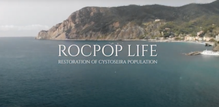ROCPOP LIFE Restoration of Cystoseira Population