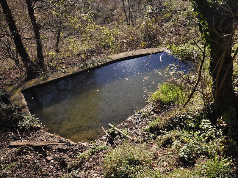 Milieux aquatique basin d’irrigation