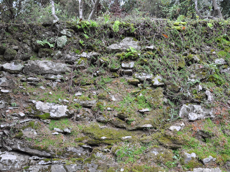 Muro di pietra a secco